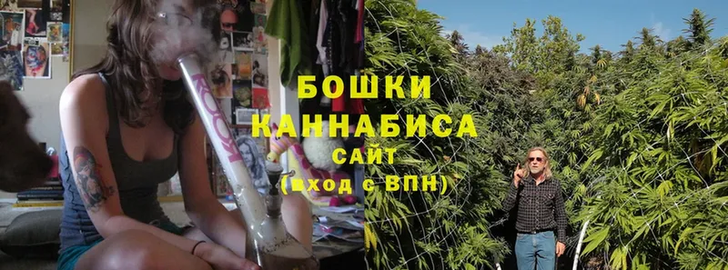 Бошки Шишки SATIVA & INDICA  Красный Холм 